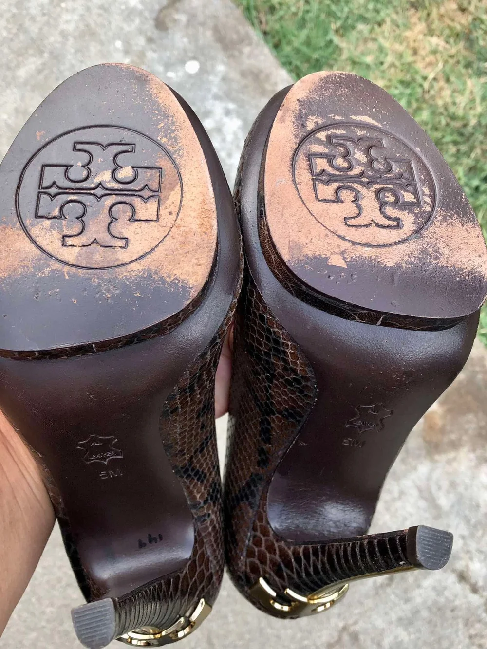 Tory Burch elegant snakeskin