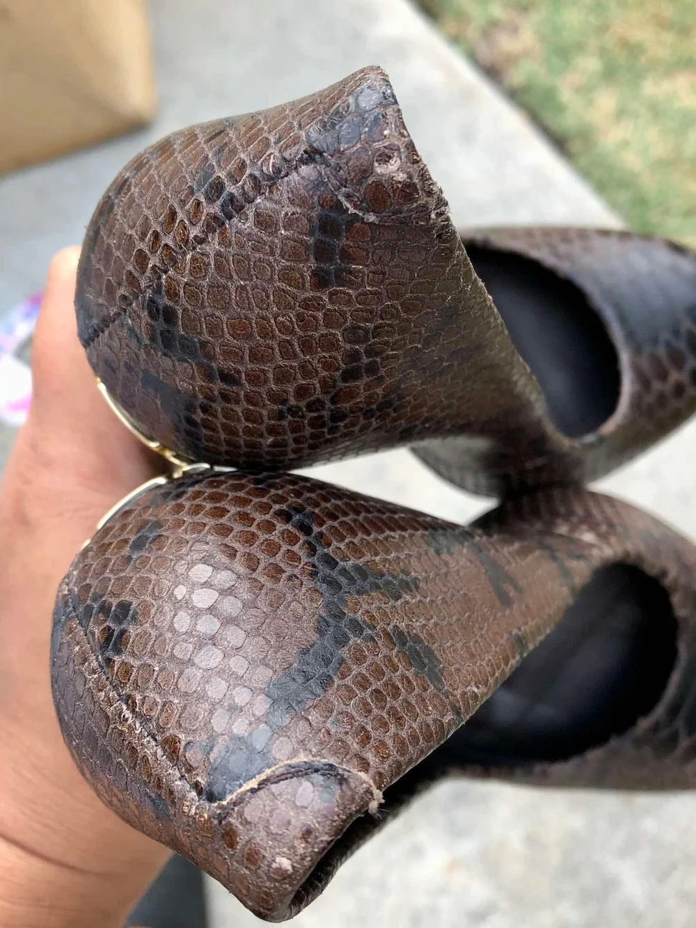 Tory Burch elegant snakeskin