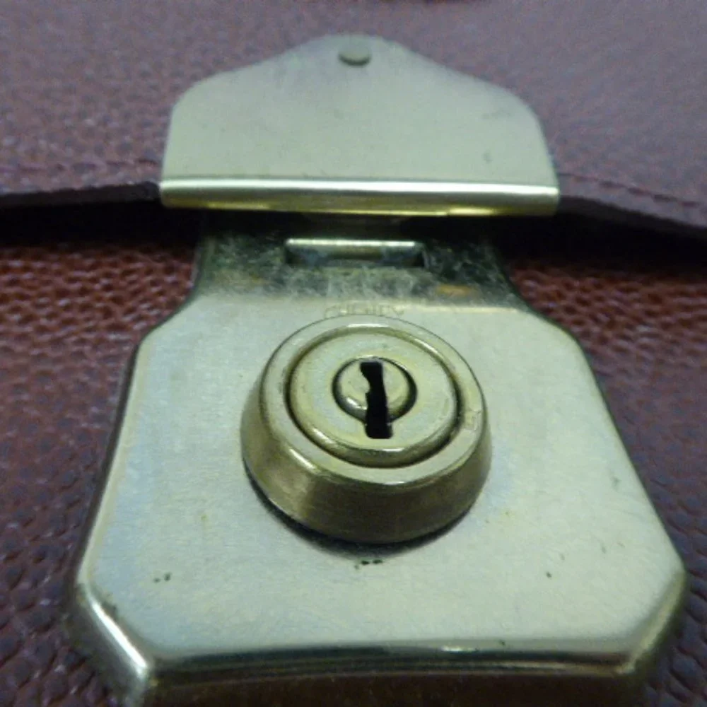 Mulberry new brown