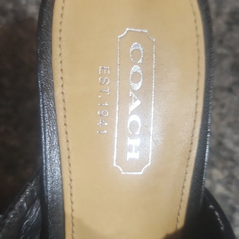 Coach shasha studded