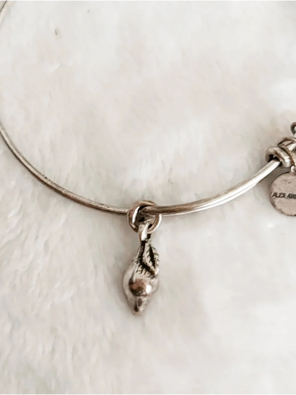 Alex and Ani alex ani