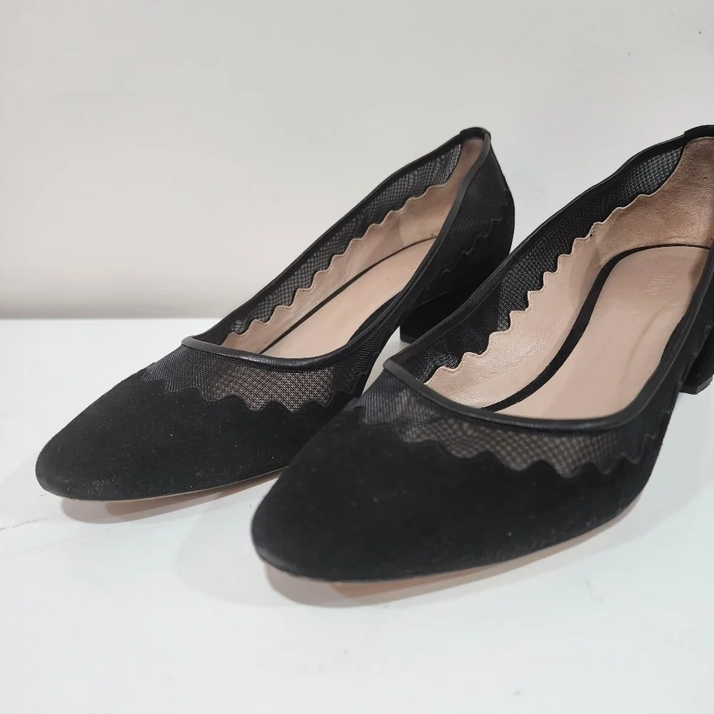 Chloe bridget scallop