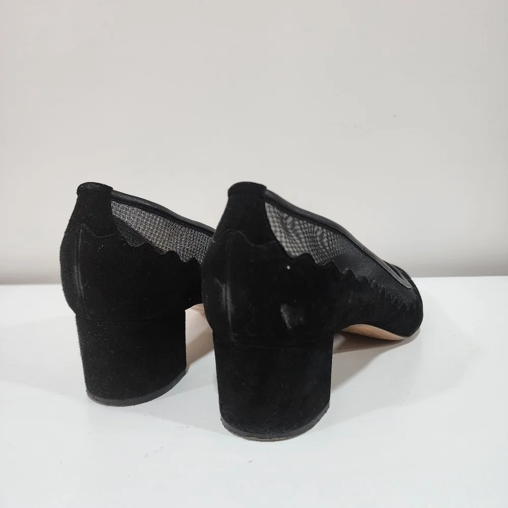 Chloe bridget scallop