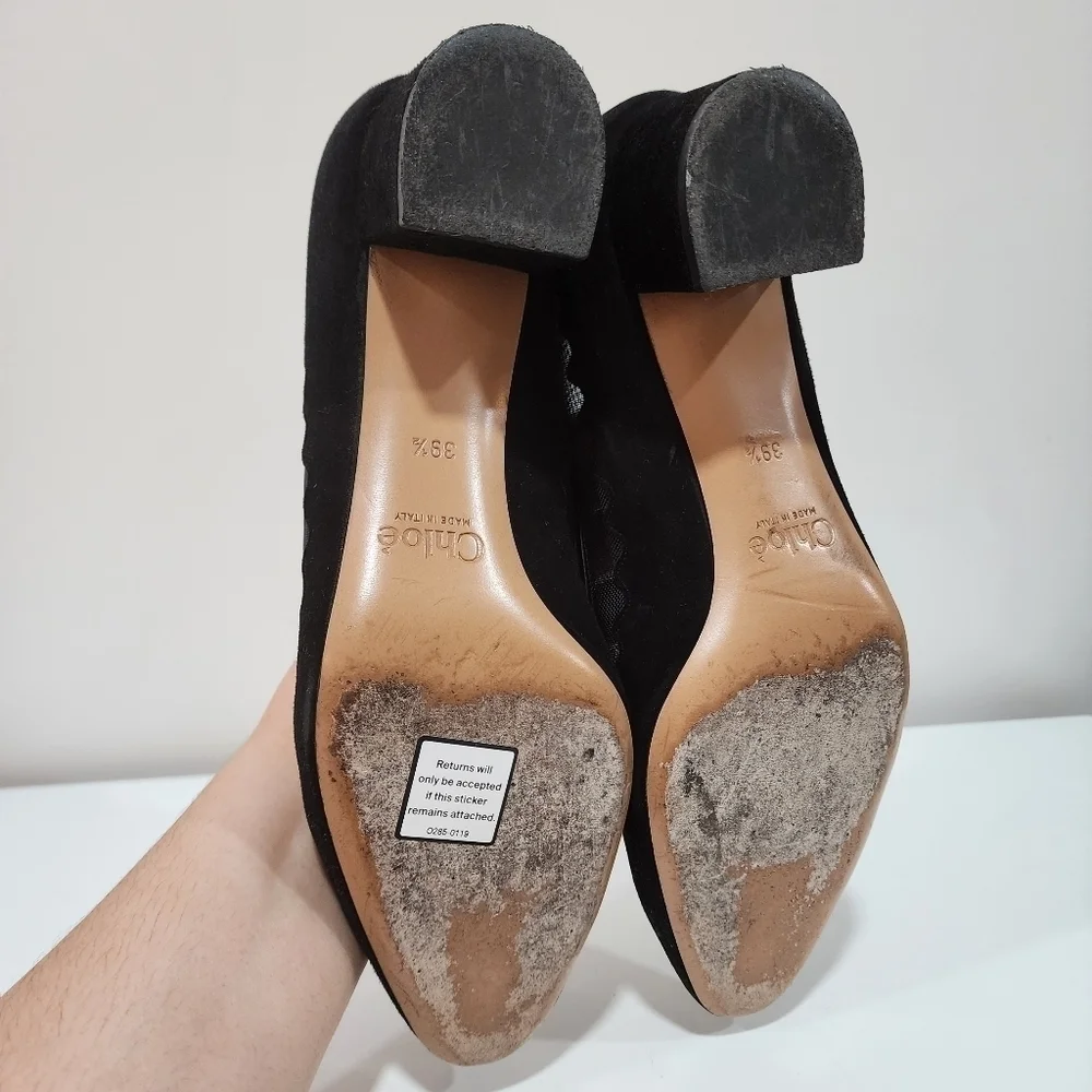 Chloe bridget scallop