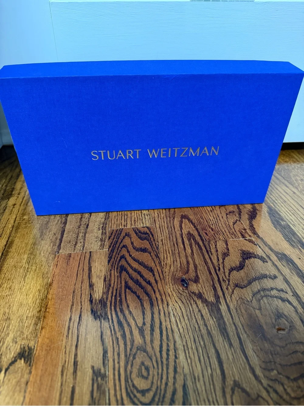 Stuart Weitzman chic pointed