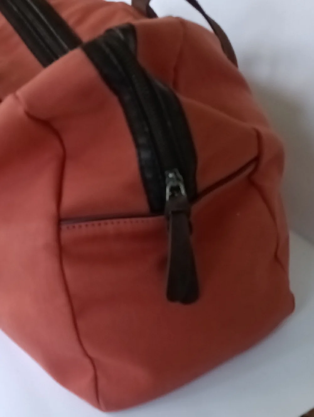 Everlane roomy bag