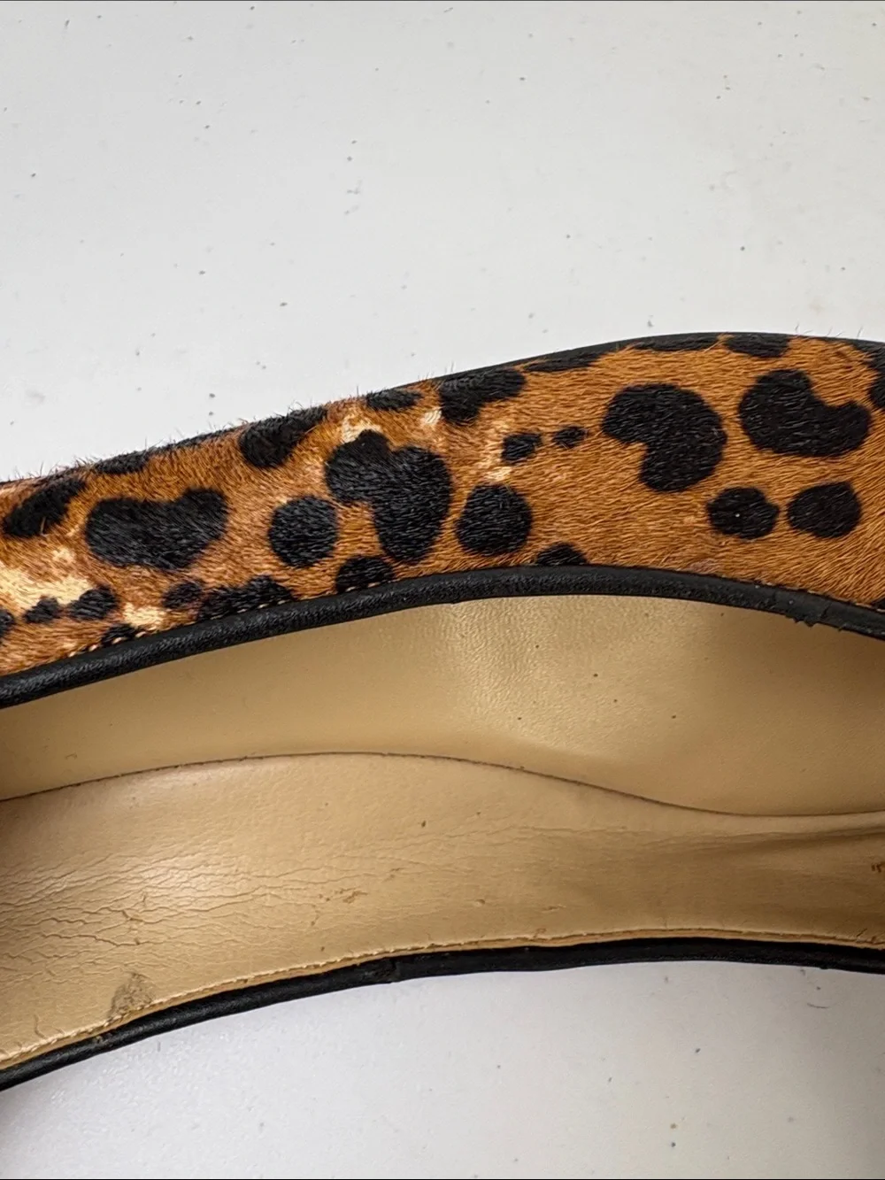 Lands End leopard print