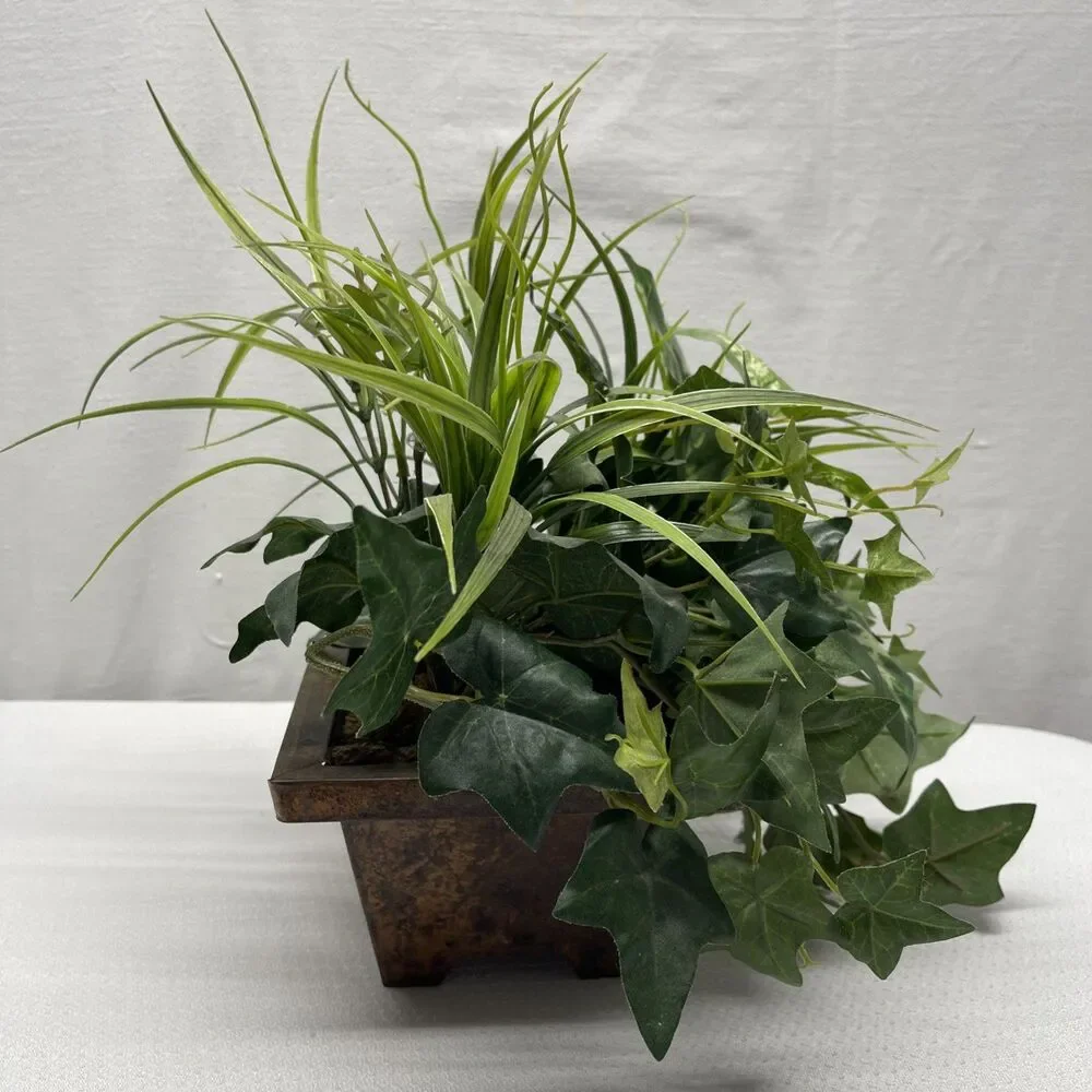 Unbranded snake greenery reach