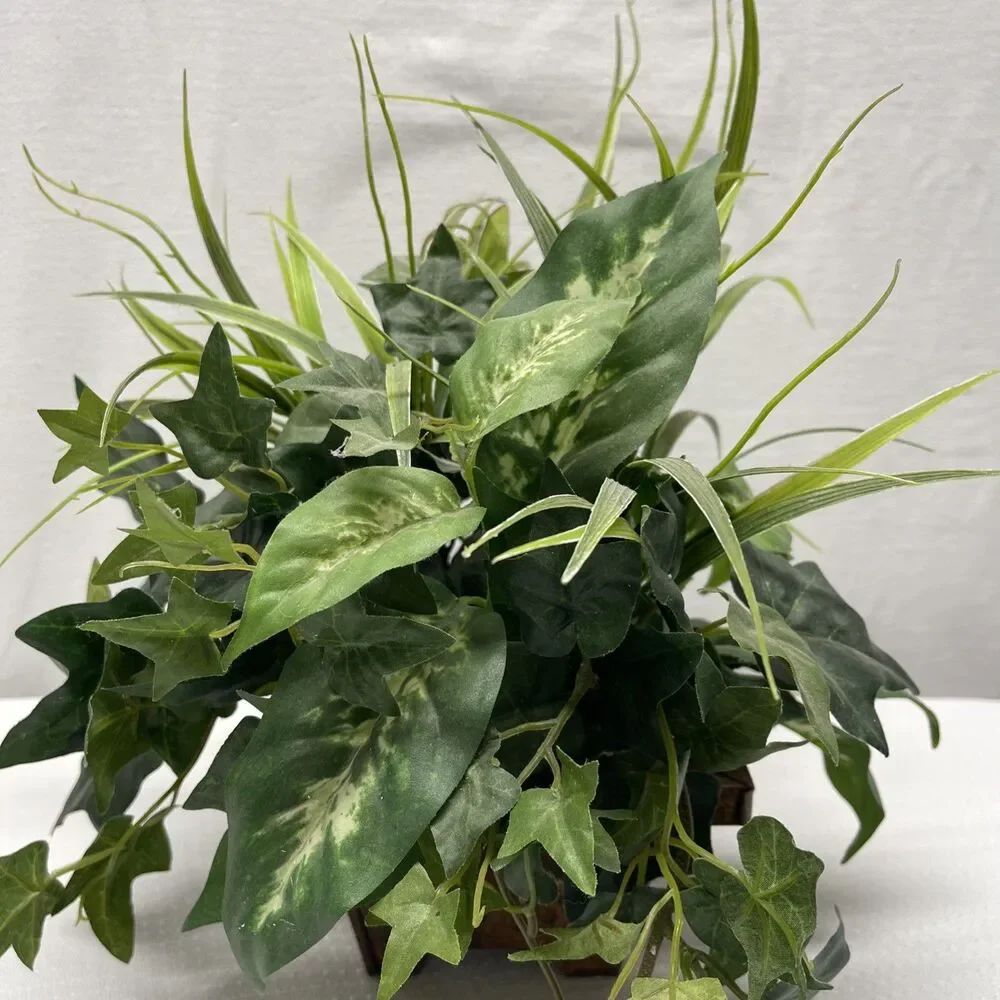 Unbranded living display ivy