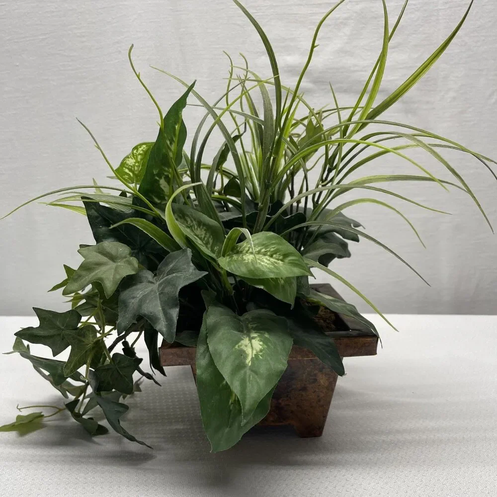 Unbranded indoor home questions