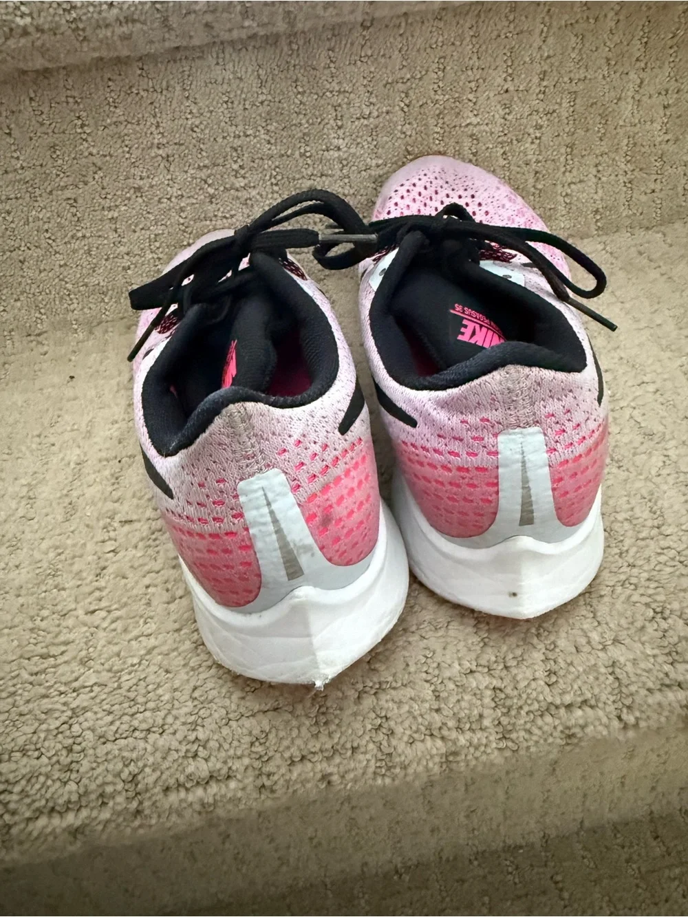 Nike zoom pegasus