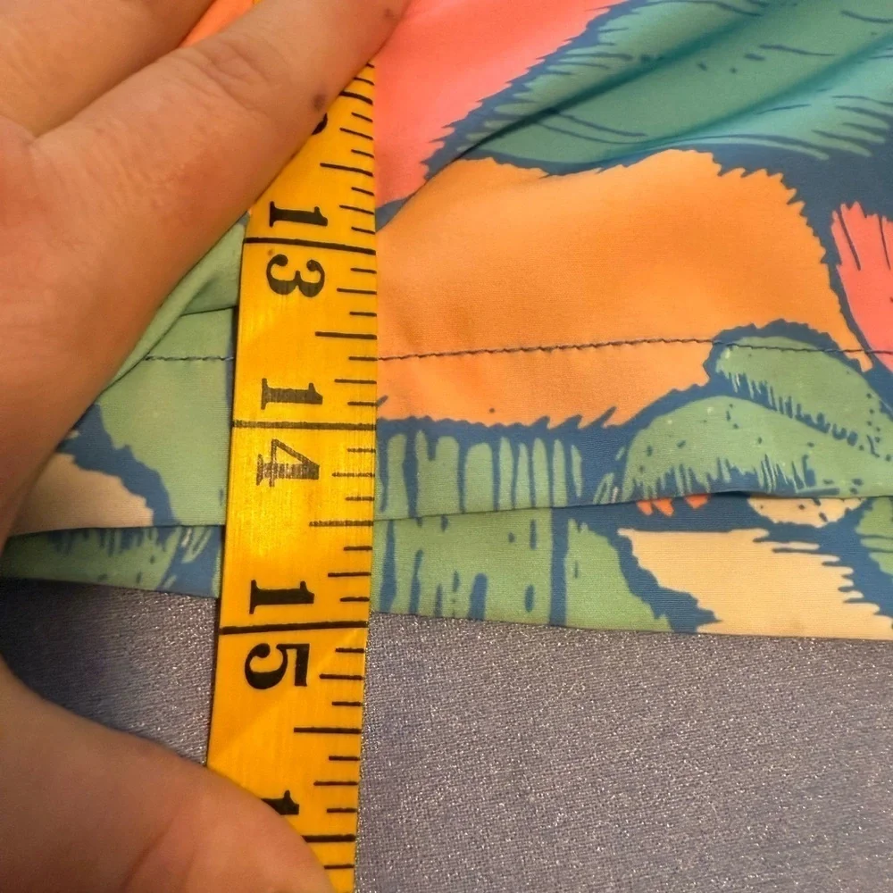 chubbies vibrant swim