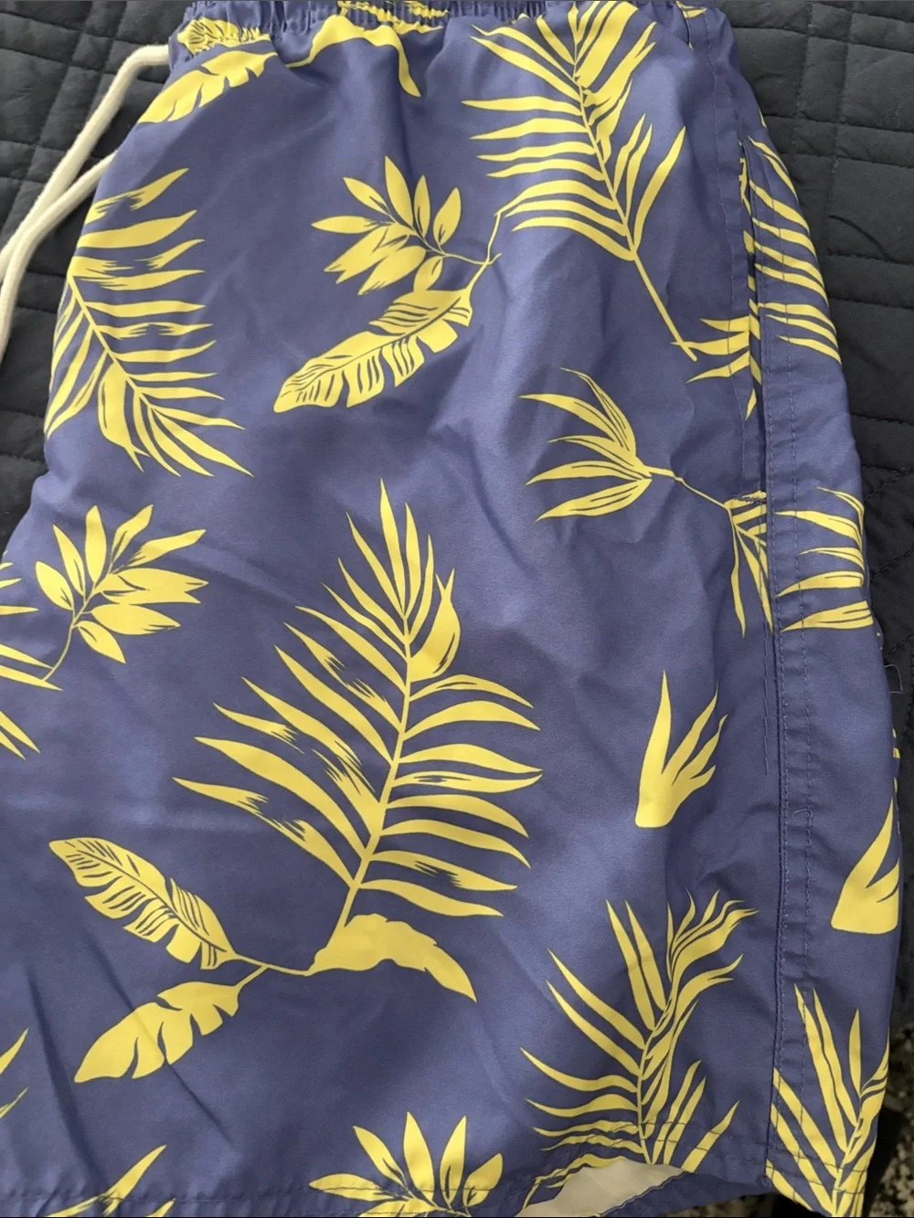 Arizona Jean Company swim shorts