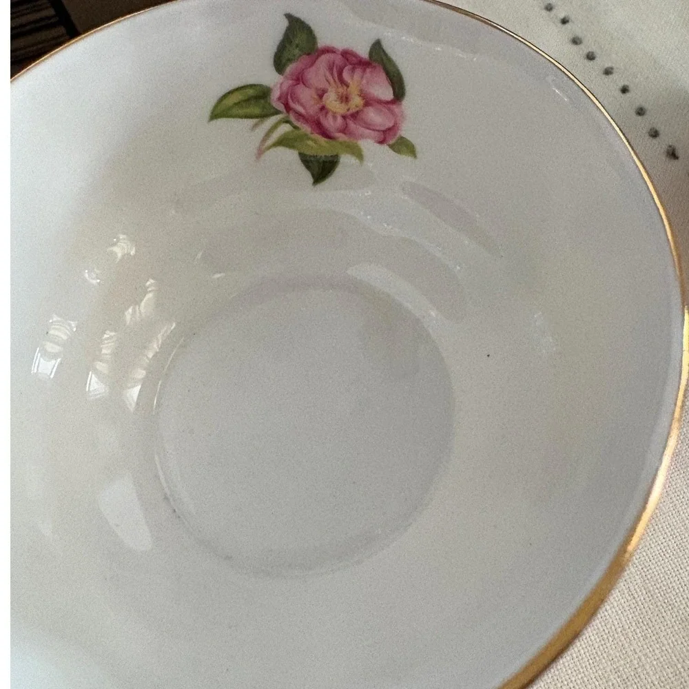 PARAGON camelia series