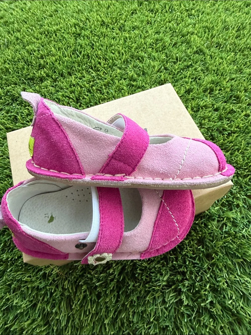 Pipit well pink