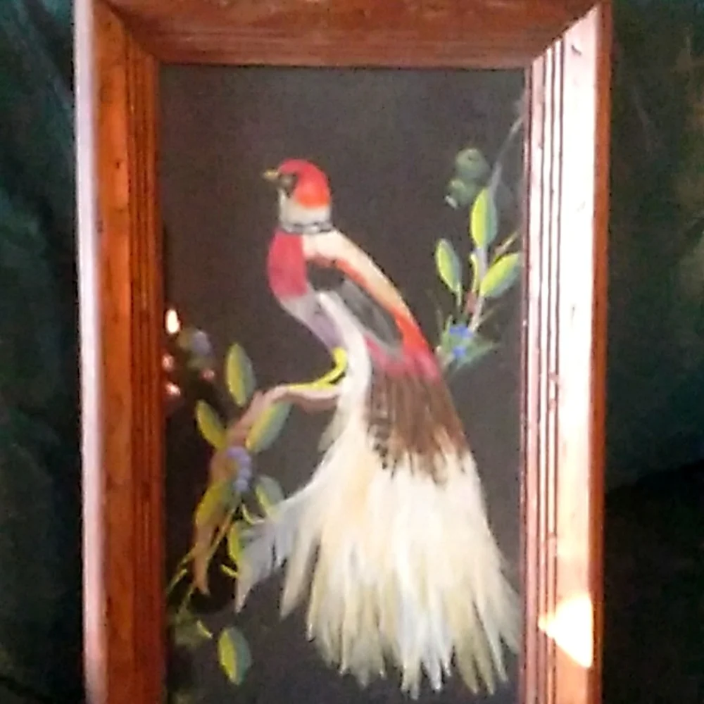 Vintage PEACOCK Framed ART Bird Distressed Wood FRAME 🖼️ 19