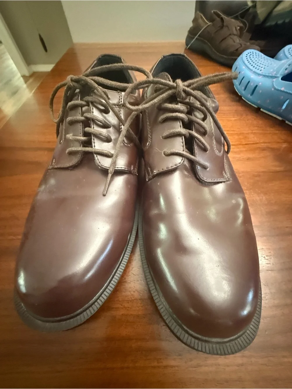 Deer Stags polished brown