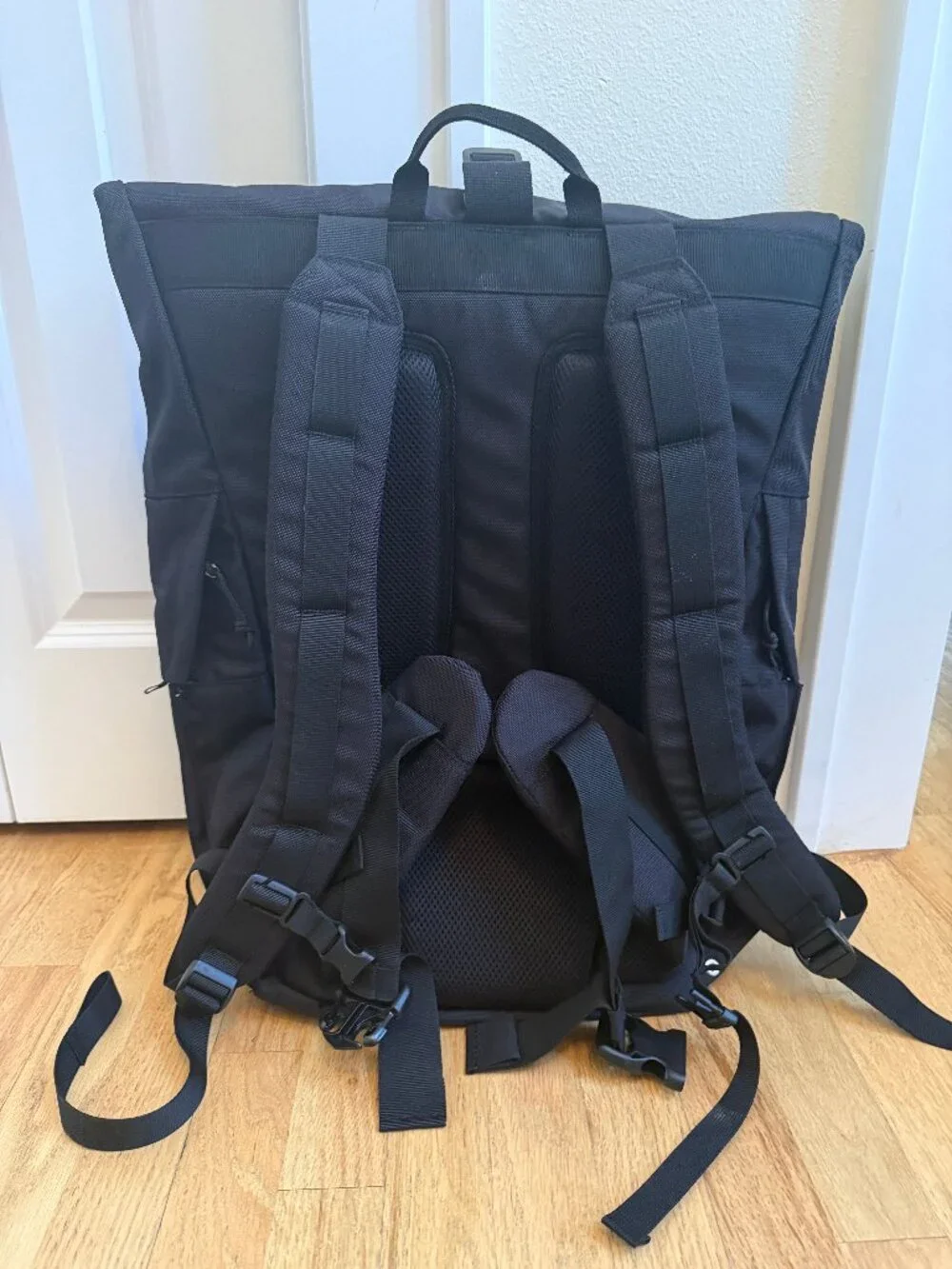 Looptworks rolltop backpack