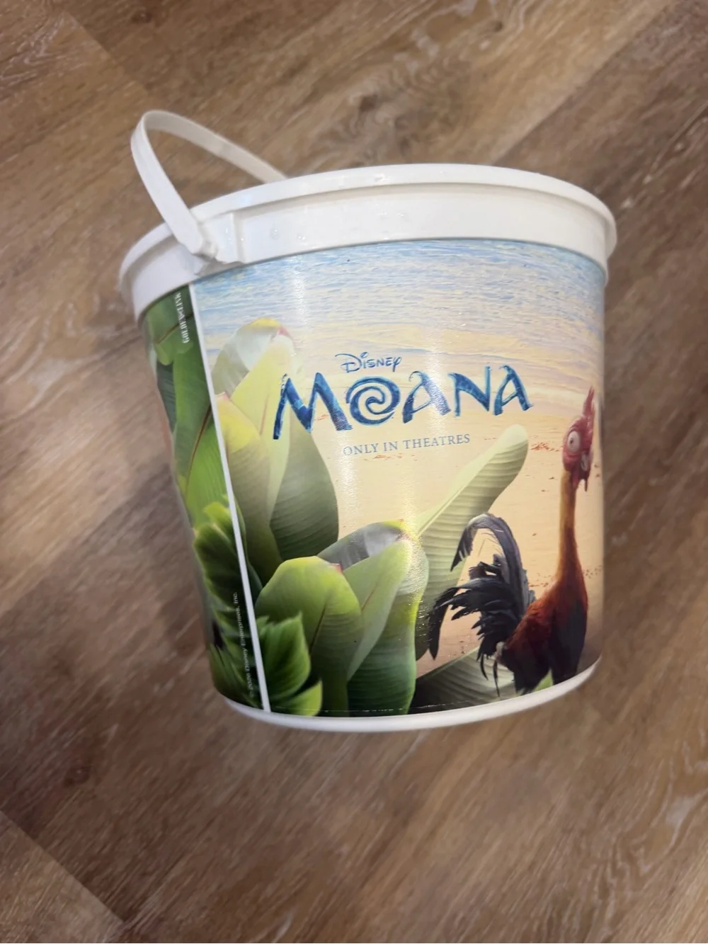 Disney moana live