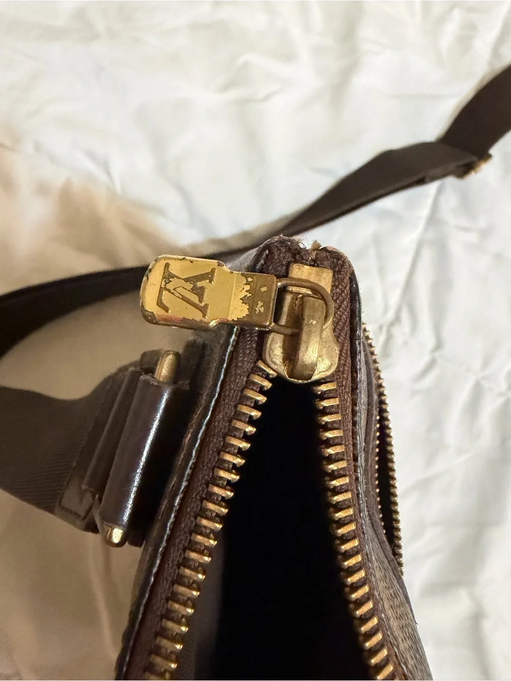 Louis Vuitton stylish brown