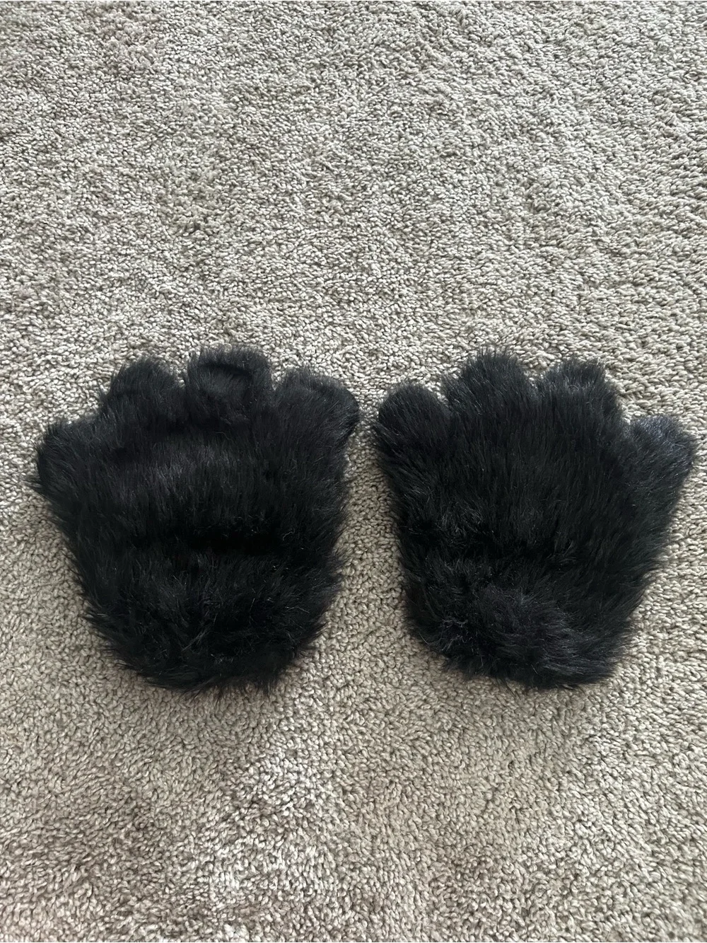 Spirit halloween cat