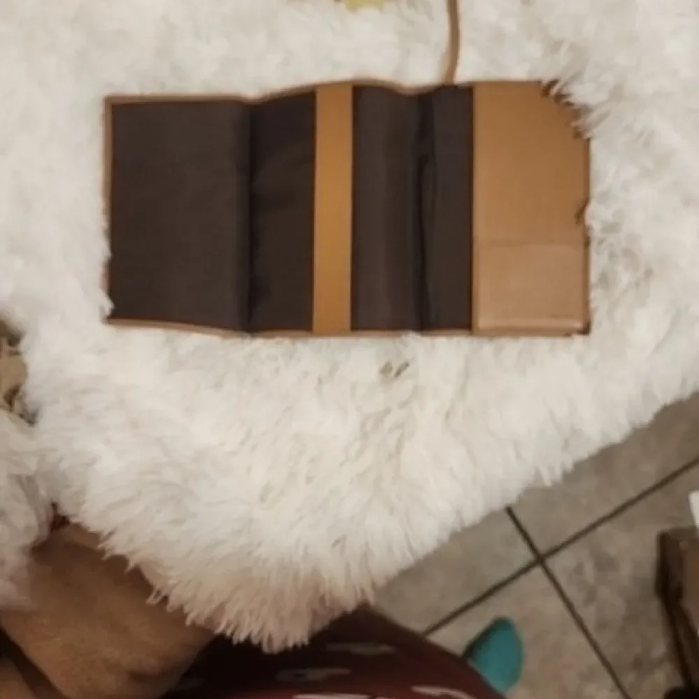 Loewe passport wallet