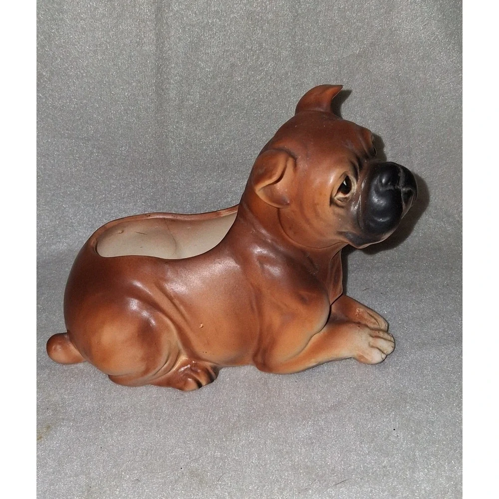 N/A boxer dog