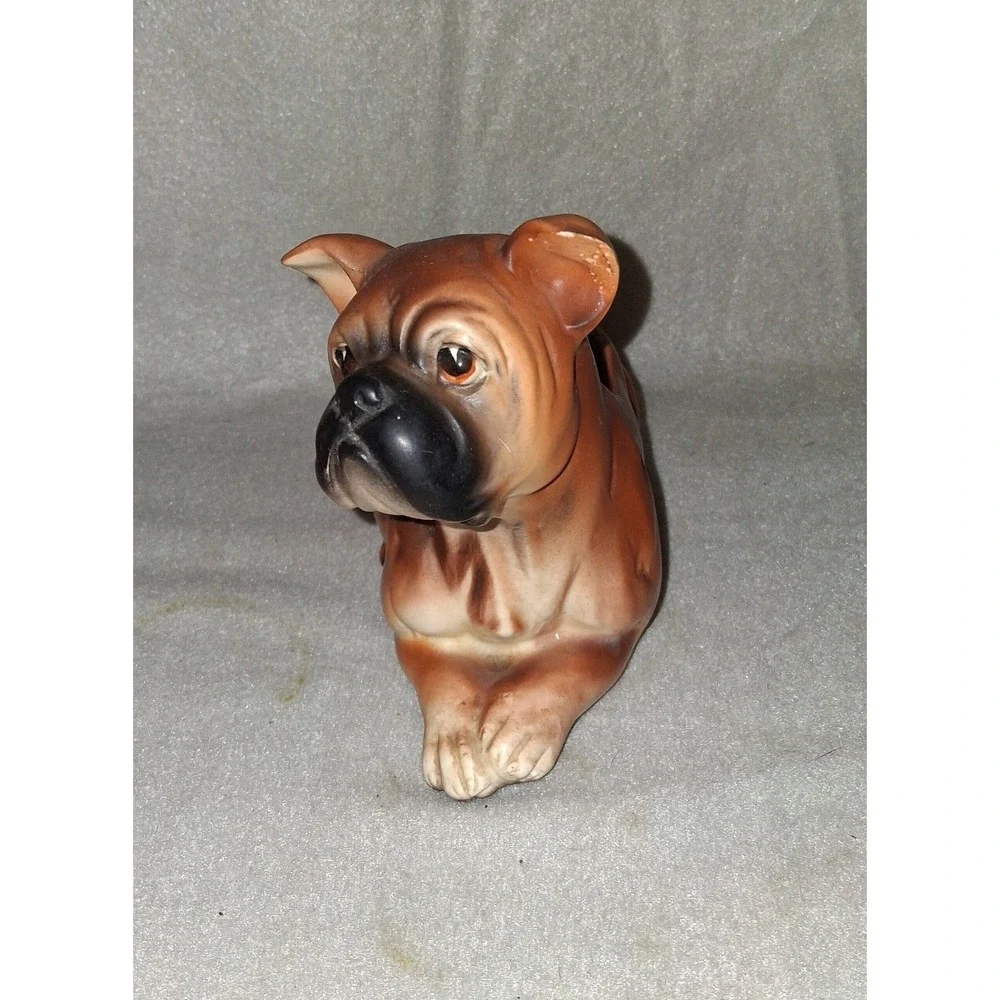 N/A boxer dog