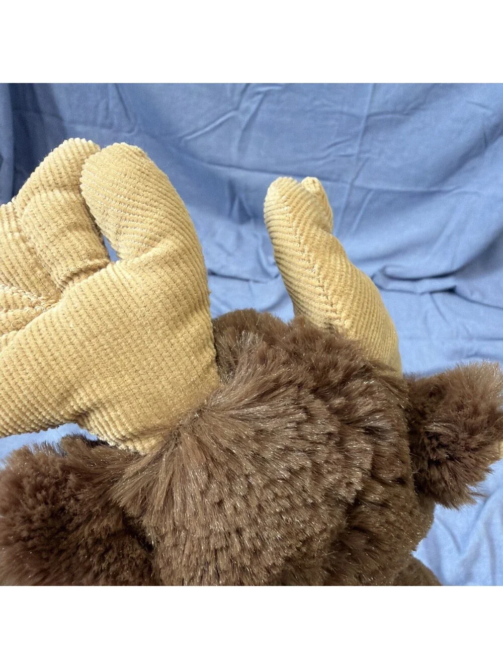 N/A boyd bear