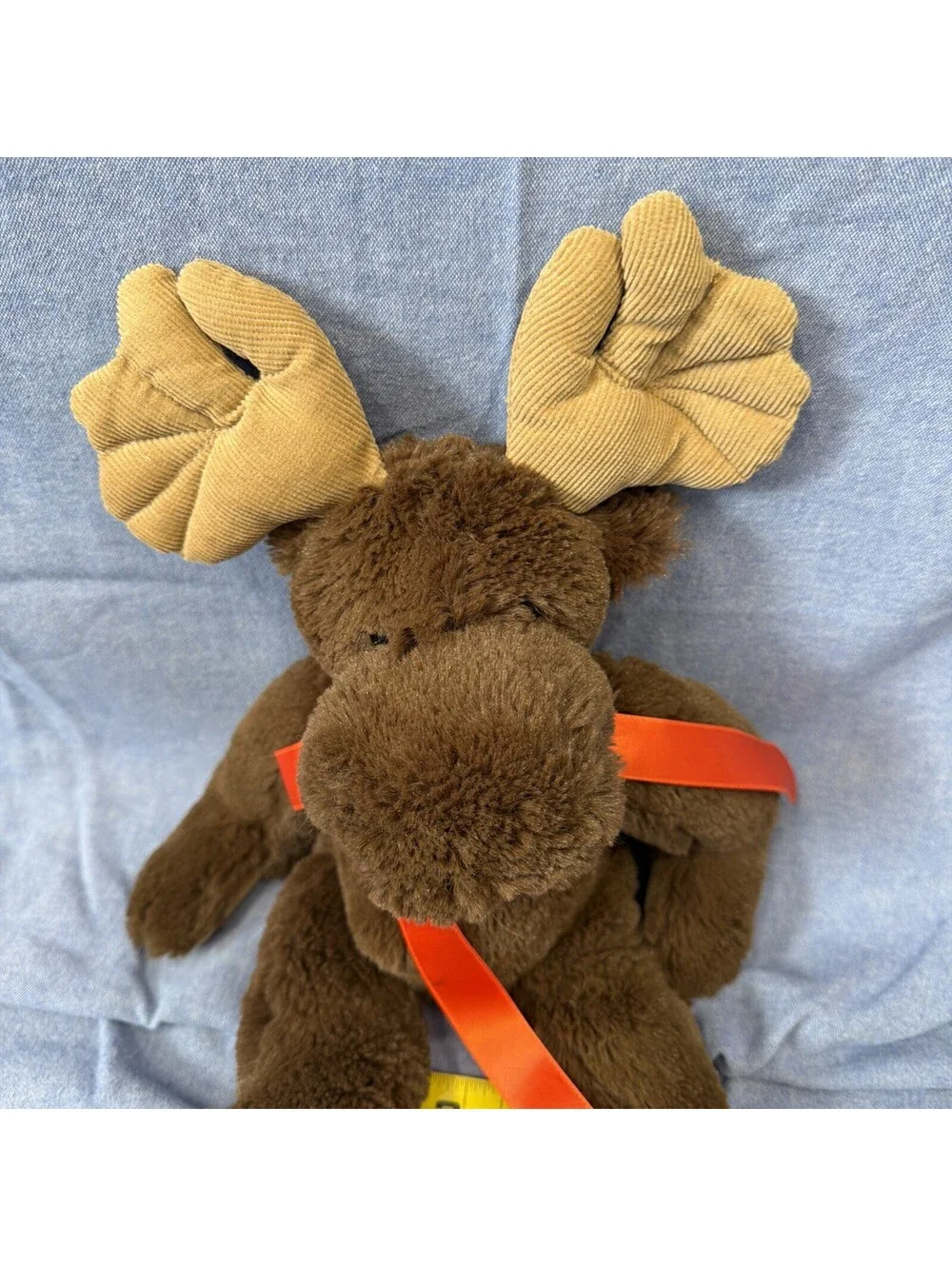 N/A boyd bear