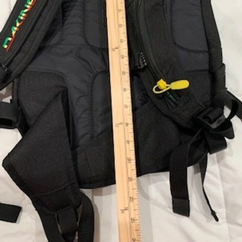 Dakine heli pack