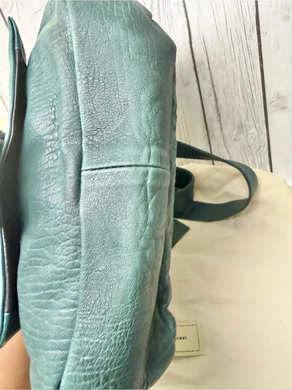 Daniella Lehavi bag shows