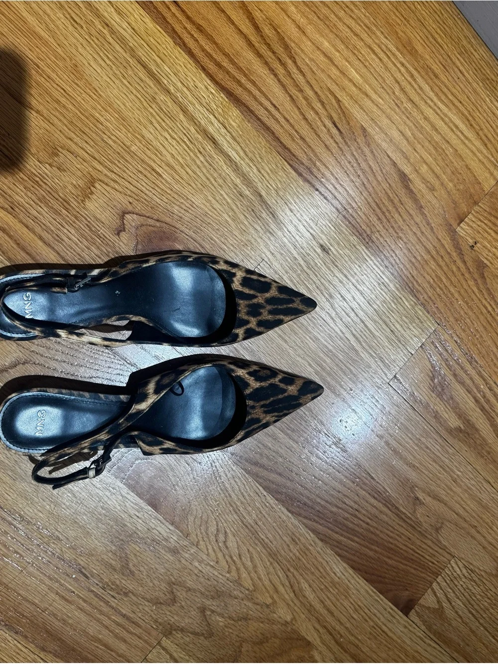 Mango stylish leopard