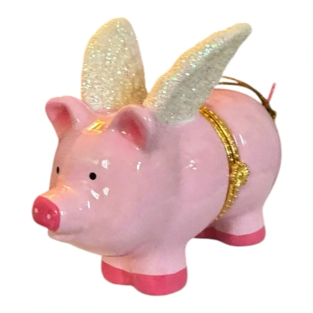 N/A flying pig