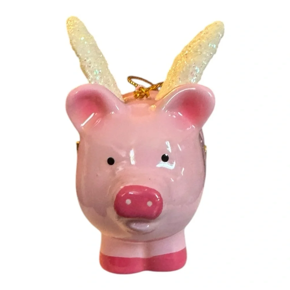 N/A flying pig
