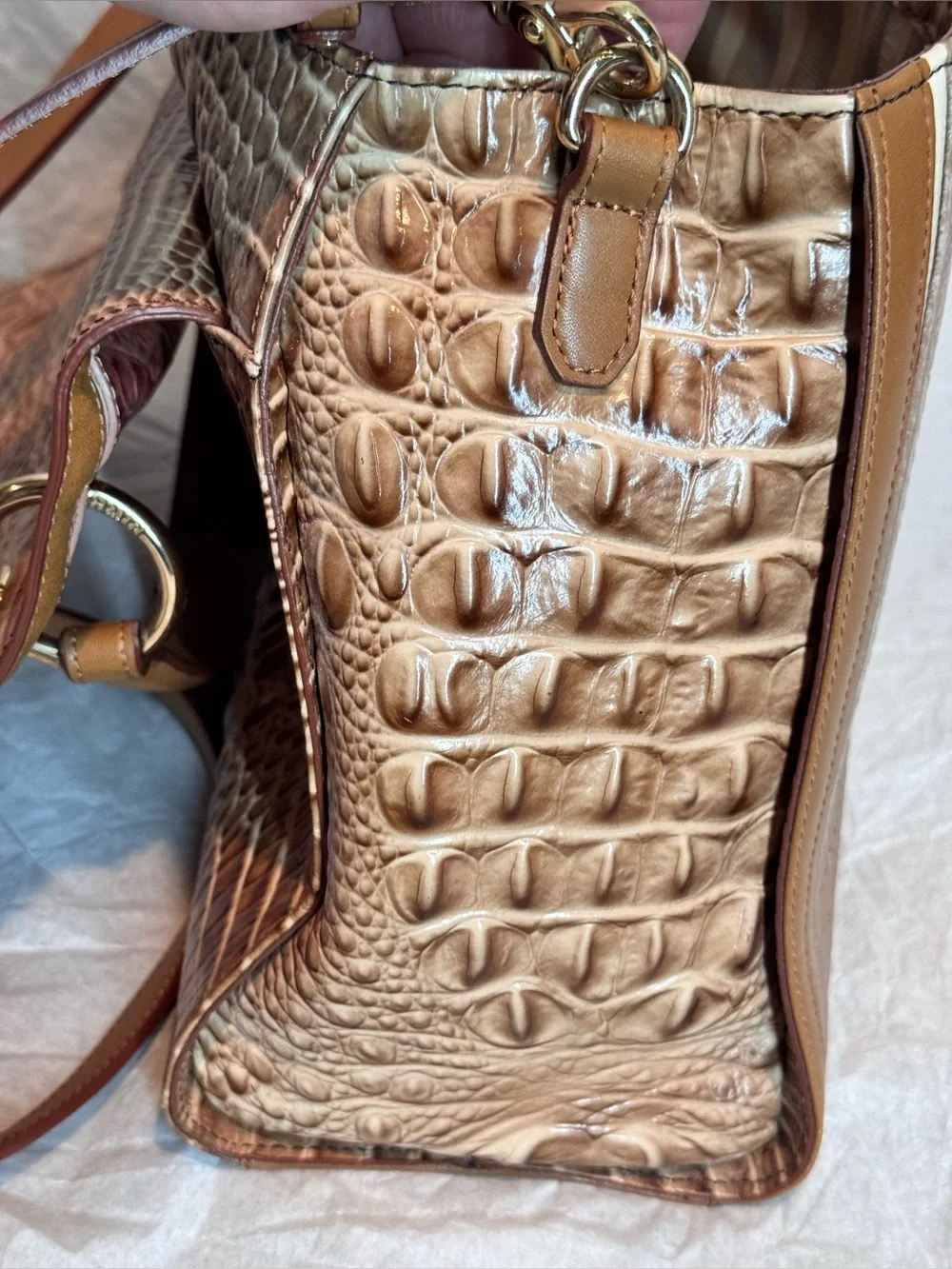 Brahmin elegant croc