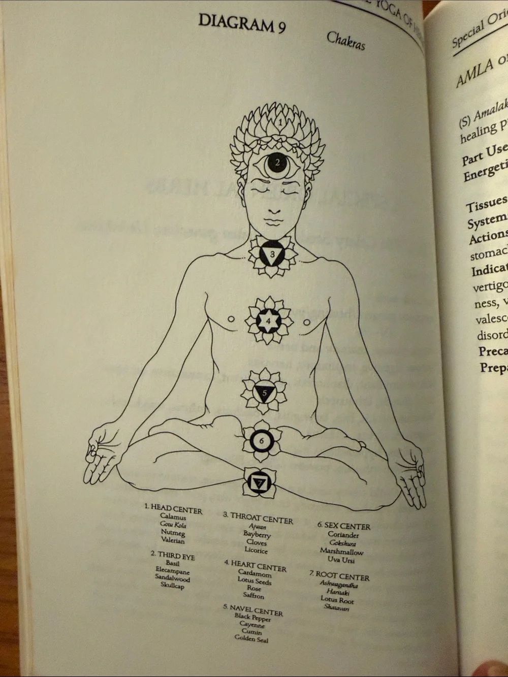 N/A yoga herbs