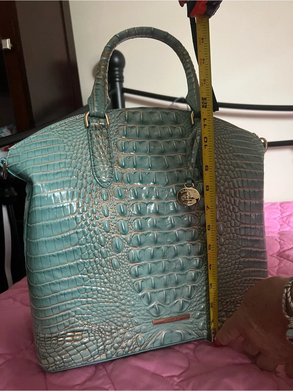 Brahmin brand new