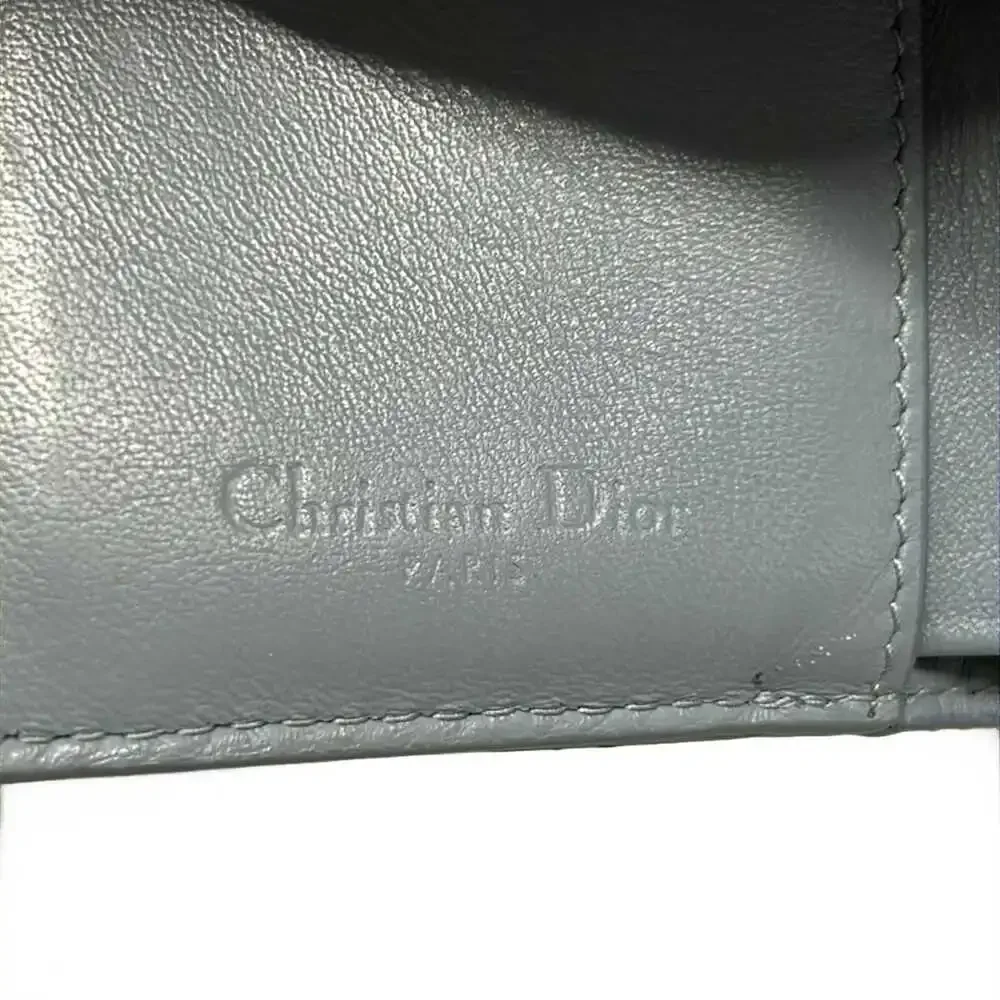 Dior christian lady