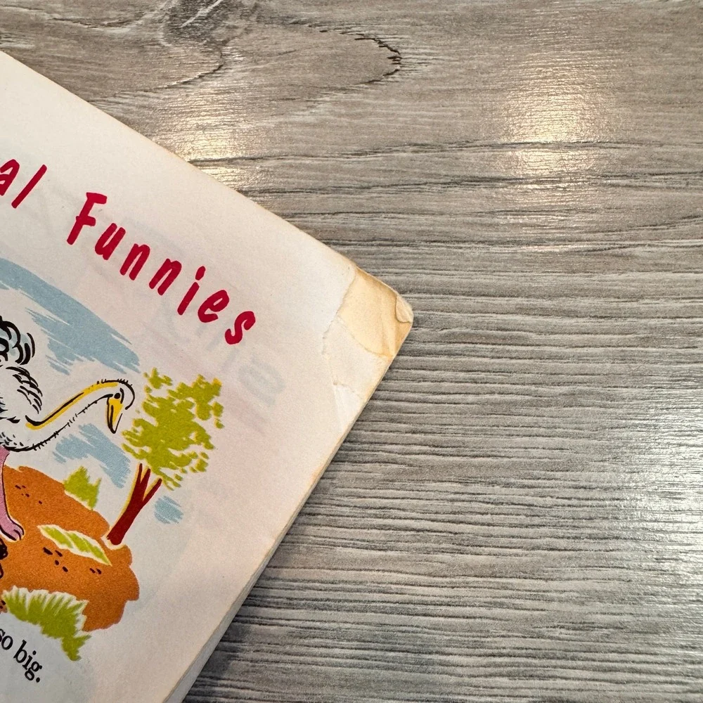 Sunny Book lowe co