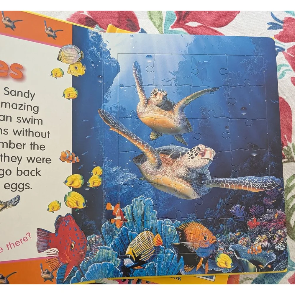 Unbranded fun educational
