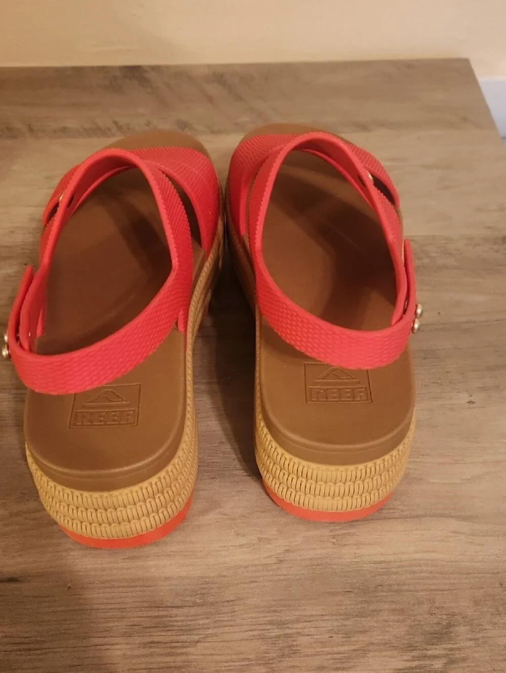 Reef bold coral