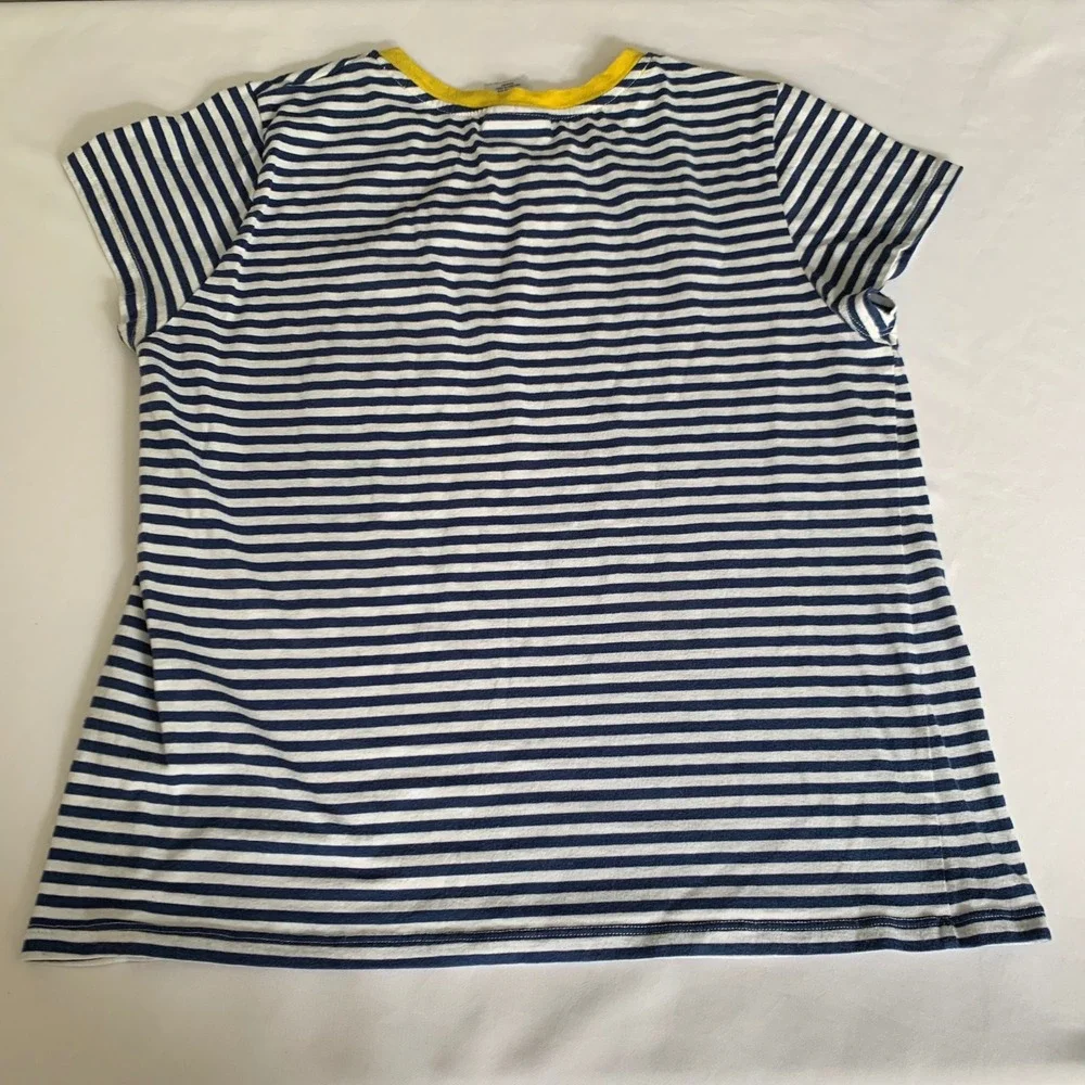 Disney parks striped
