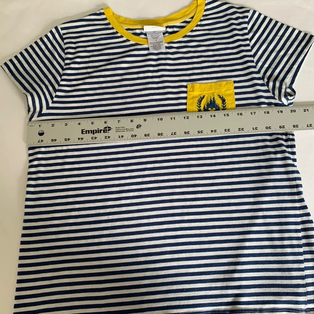 Disney parks striped