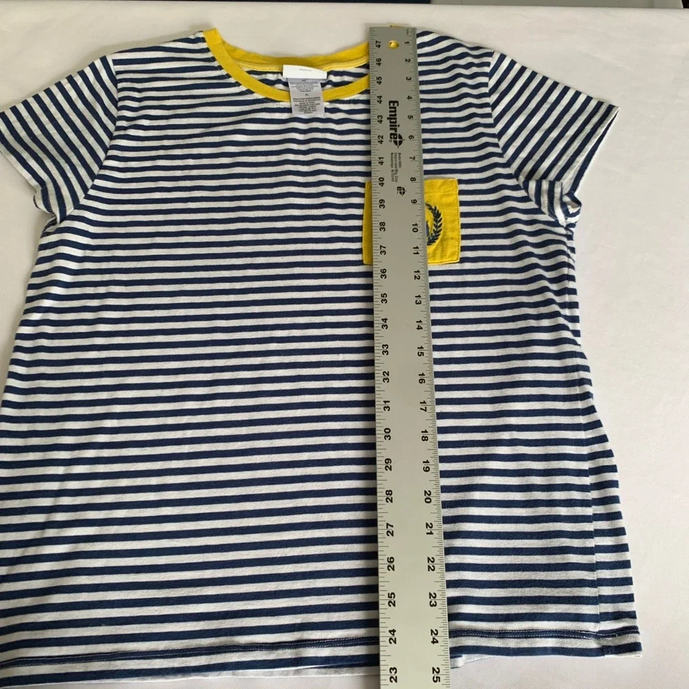 Disney parks striped