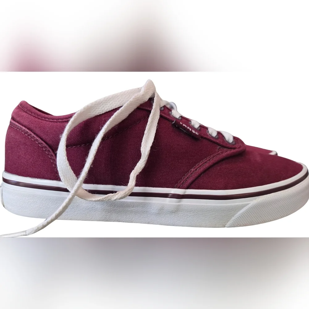 Vans stylish authentic