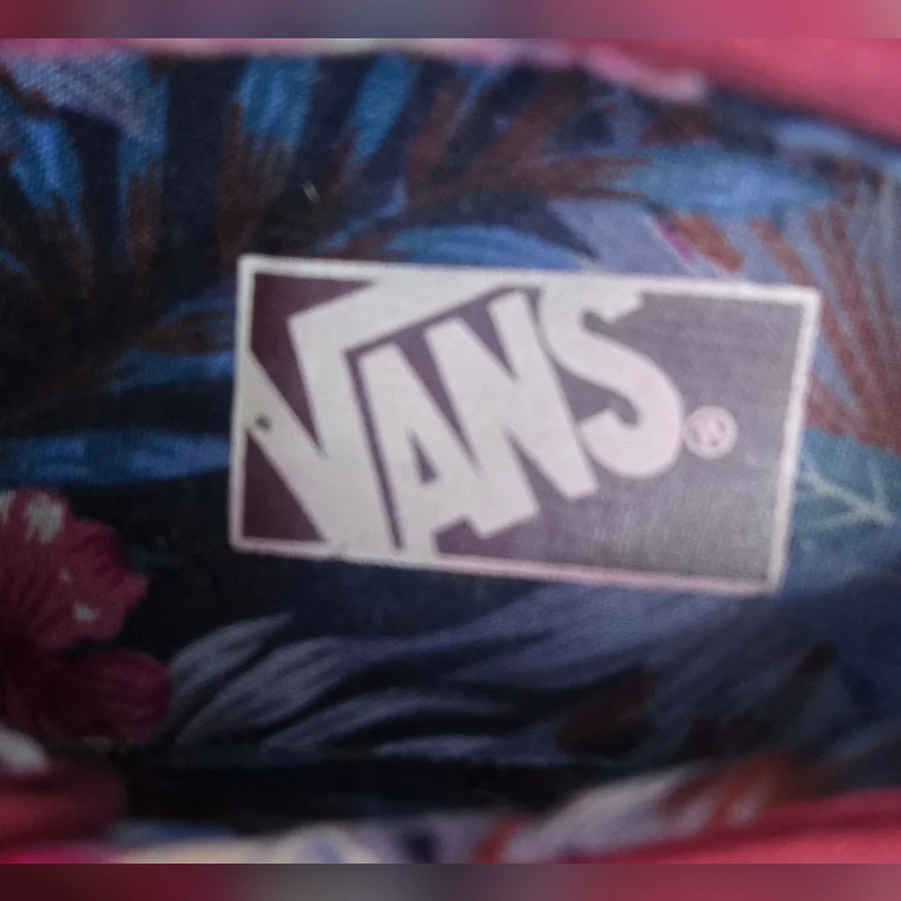 Vans stylish authentic