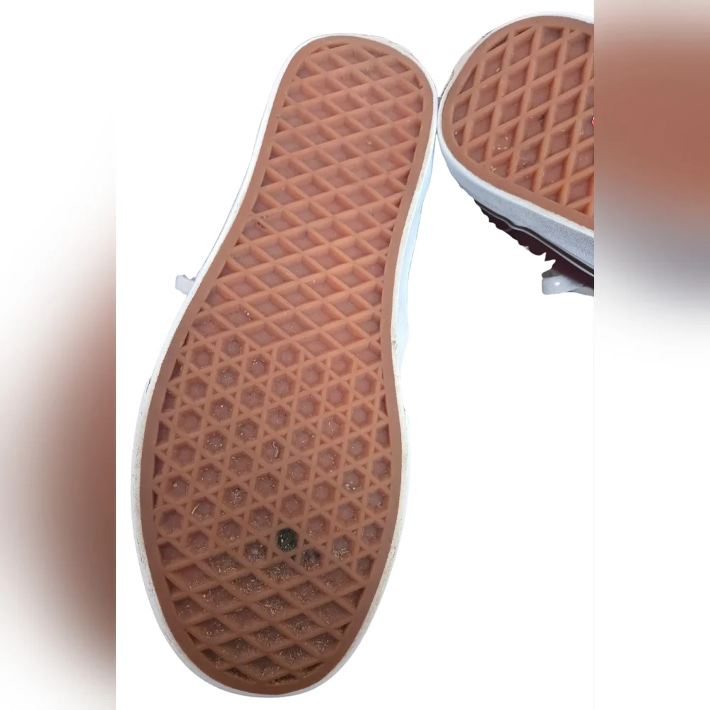 Vans stylish authentic