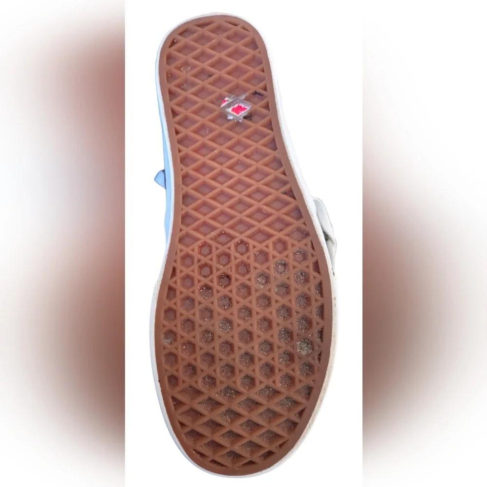 Vans stylish authentic