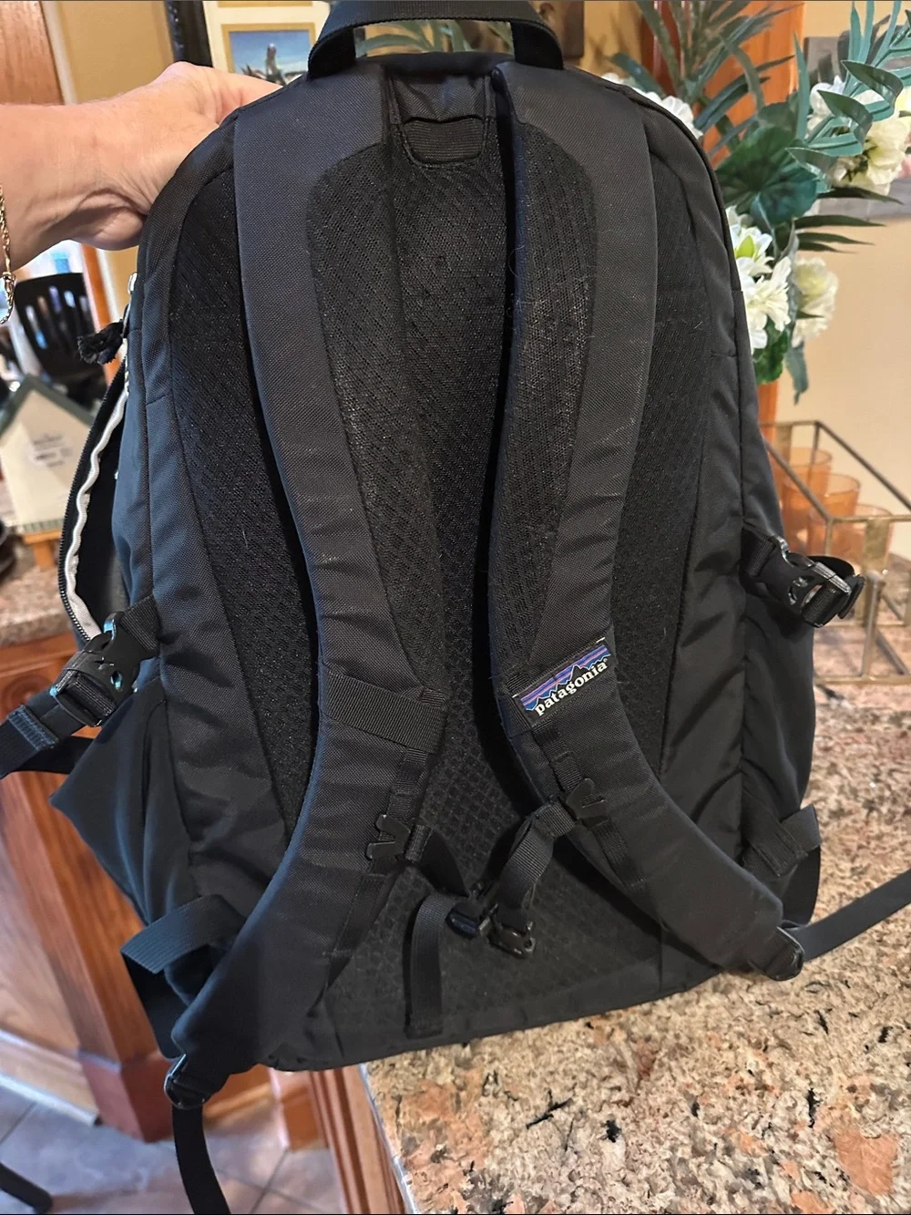 Patagonia lightweight backpack